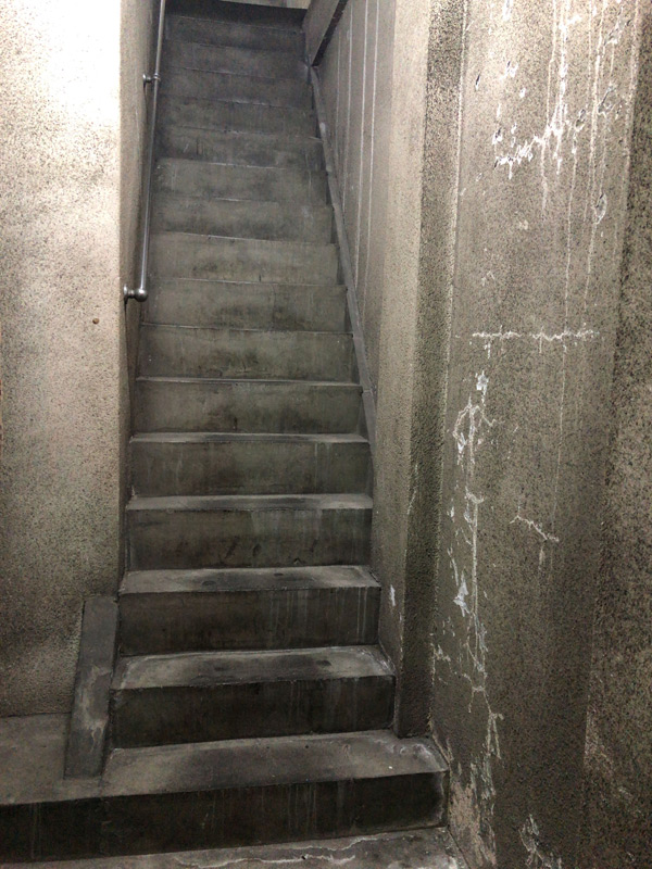 シンプルな打ちっ放しコンクリートの階段