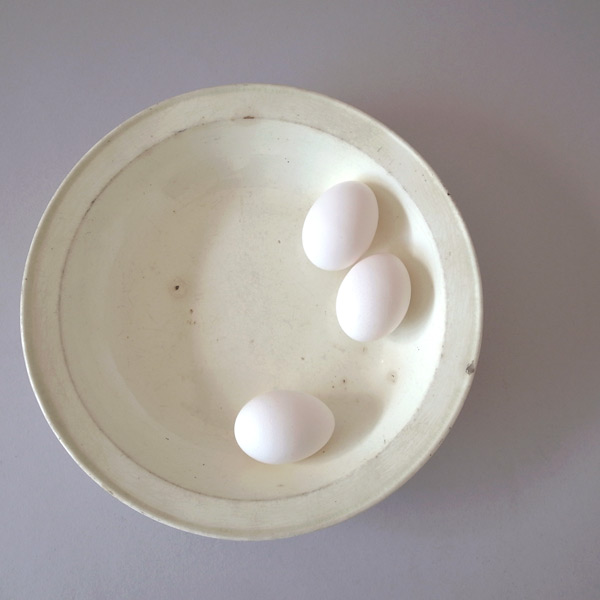 19世紀テラーリアの器-卵をのせた上からの絵