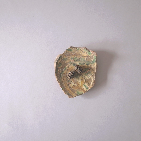 三彩マヨリカ陶片その5(二つ目)-大きさの比較